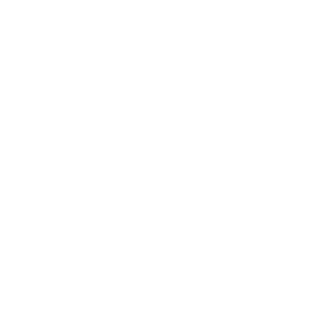 brake icon